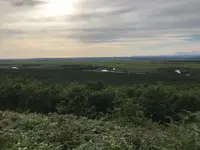 釧路湿原国立公園の写真・動画_image_421219