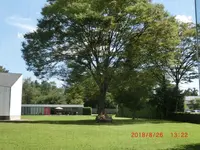 徳川ミュージアムの写真・動画_image_421537