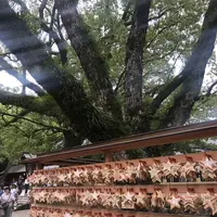 熱田神宮の写真・動画_image_423706