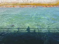 興津海水浴場の写真・動画_image_424334