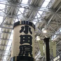 小田原駅の写真・動画_image_425234