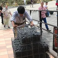 大涌谷くろたまご館の写真・動画_image_425243