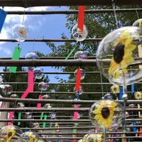 正寿院の写真・動画_image_428247