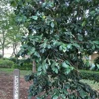 ふなばしアンデルセン公園の写真・動画_image_428354