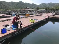淡路じゃのひれフィッシングパークの写真・動画_image_428613