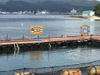 淡路じゃのひれフィッシングパークの写真・動画_image_429684