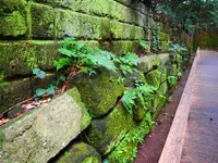 猿島の写真・動画_image_430220