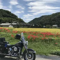 篠山城跡の写真・動画_image_430766