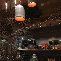 KNOCK CUCINA BUONA ITALIANA 恵比寿店の写真・動画_image_431127