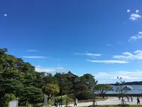 松華堂菓子店の写真・動画_image_431822