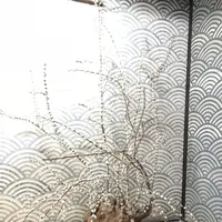 高山陣屋の写真・動画_image_432055