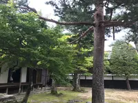 高山陣屋の写真・動画_image_432057