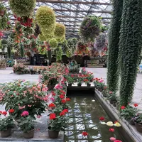 松江フォーゲルパークの写真・動画_image_432294