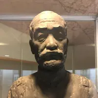 乃木神社の写真・動画_image_432661