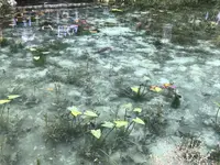モネの池（名もなき池）の写真・動画_image_433459