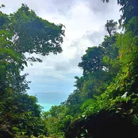 斎場御嶽の写真・動画_image_434023