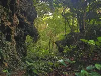 斎場御嶽の写真・動画_image_434025