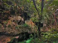 斎場御嶽の写真・動画_image_434026