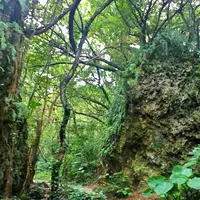 斎場御嶽の写真・動画_image_434027