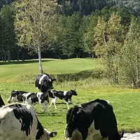 星野リゾート リゾナーレトマムの写真・動画_image_434329