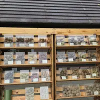 星野リゾート リゾナーレトマムの写真・動画_image_434336