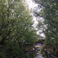 常泉寺の写真・動画_image_438879
