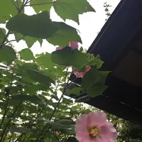 常泉寺の写真・動画_image_438880