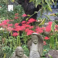 常泉寺の写真・動画_image_438883