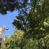 芝公園の写真・動画_image_439058