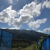 葡萄屋iwaki （ぶどう農園）の写真・動画_image_440879