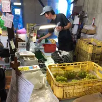 葡萄屋iwaki （ぶどう農園）の写真・動画_image_440881