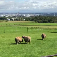 羊ヶ丘展望台の写真・動画_image_441314