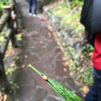 定山渓の写真・動画_image_441377