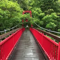 定山渓の写真・動画_image_441378