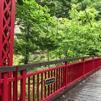 定山渓の写真・動画_image_441381