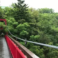 定山渓の写真・動画_image_441385