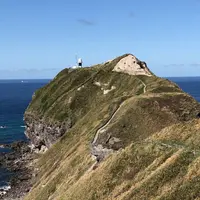 神威岬の写真・動画_image_441418