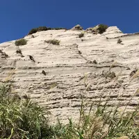 神威岬の写真・動画_image_441427