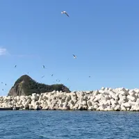 水中展望船ニューしゃこたん号の写真・動画_image_441451