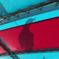 水中展望船ニューしゃこたん号の写真・動画_image_441452