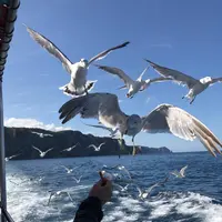 水中展望船ニューしゃこたん号の写真・動画_image_441456