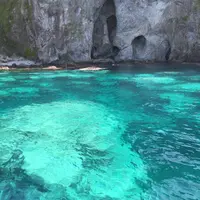 水中展望船ニューしゃこたん号の写真・動画_image_441457