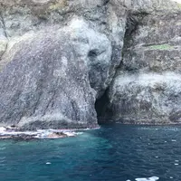 水中展望船ニューしゃこたん号の写真・動画_image_441458