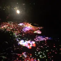 ときわ公園の写真・動画_image_441522