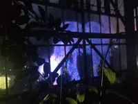 ときわ公園の写真・動画_image_441523