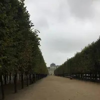 スターバックスの写真・動画_image_442447