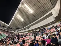 デンカビッグスワンスタジアムの写真・動画_image_442793