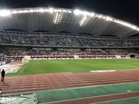 デンカビッグスワンスタジアムの写真・動画_image_442794