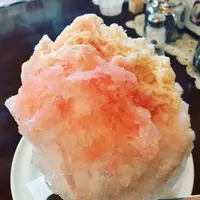 レモンの木の写真・動画_image_445488