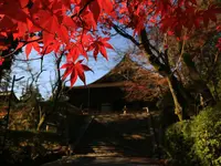 長等山 園城寺（三井寺）の写真・動画_image_445987
